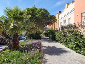 Esterni