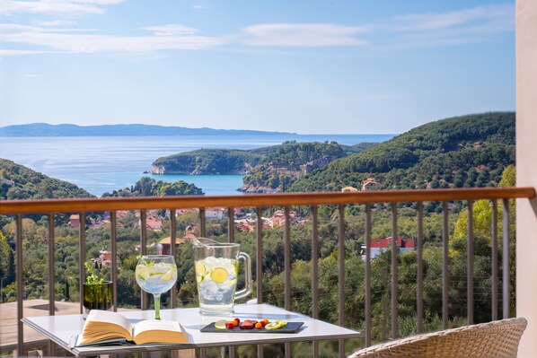 Udsigt fra balkon