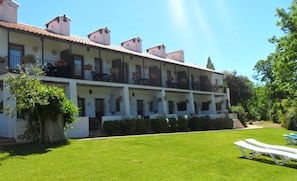 Trädgård