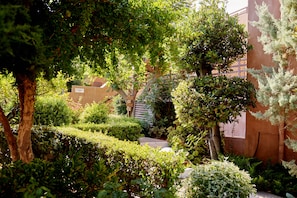 Trädgård
