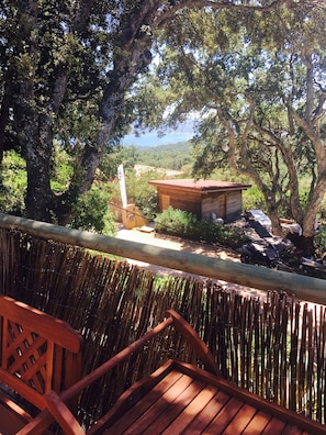 View from room