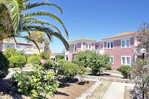 Trädgård