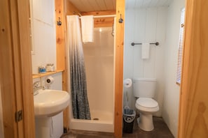 Full bathroom with walk in shower