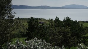 Our house by the great lake