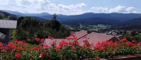 Fewo Arber 65 qm-Blick auf die Berge