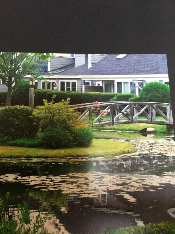 pond with walking bridges