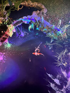 Koi Pond Waterfall