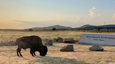 Rojo Buffalo Cabin at The Lazy Buffalo Wichita Mountains, Cache Medicine Park 