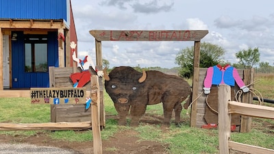 Rojo Buffalo Cabin at The Lazy Buffalo Wichita Mountains, Cache Medicine Park 