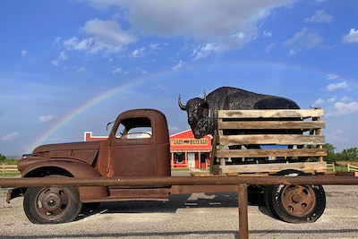 Rustic Elegance Lazy Buffalo CABIN Hike the Wichita Mountains, Handicap King Bed