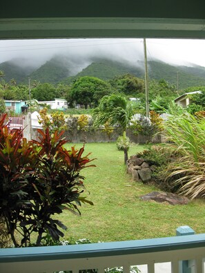 View of the front garden