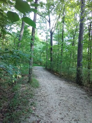 The walking/biking trail at Mammoth Cave that is in 13 minute walking distance.