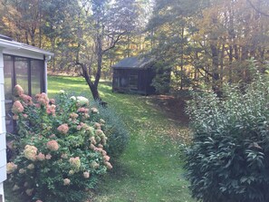 Side and back yard with painting studio, in the spring/summer