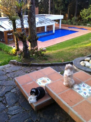 View frm the terrace to the pavilion