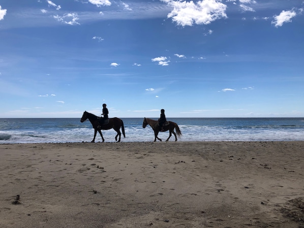 Beach