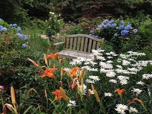 Flowers in bloom all summer and fall