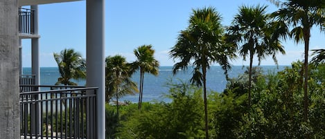 Ocean View from your patio