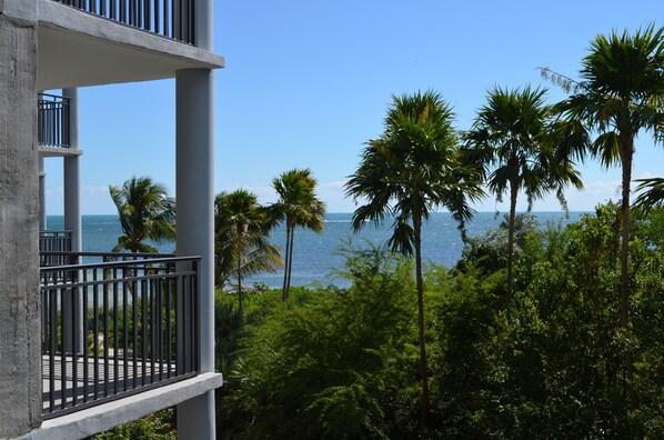 Ocean View from your patio