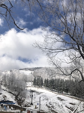 View from the top porch of the house