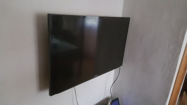 Television