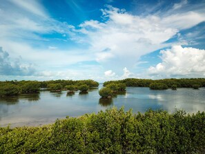 Lagoon in front of House