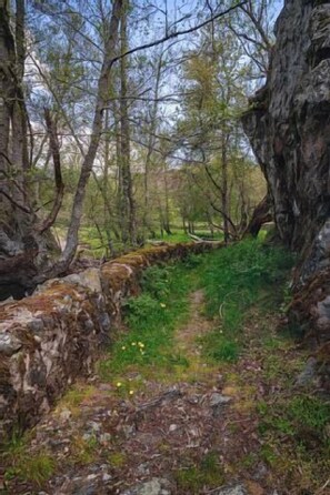 Parco della struttura