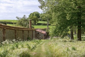 The Little Potting Shed: Pathway to the property