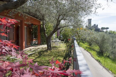 VILLINO LA CASETTA - Castelnuovo Magra - Independent Villa dipped in the green of secular olives, on the border between Liguria and Tuscany close to the Cinque Terre.