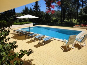 sunloungers and sun chairs