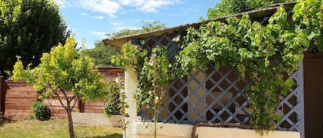 Le jardin clos et la terrasse couverte, avec sa vigne