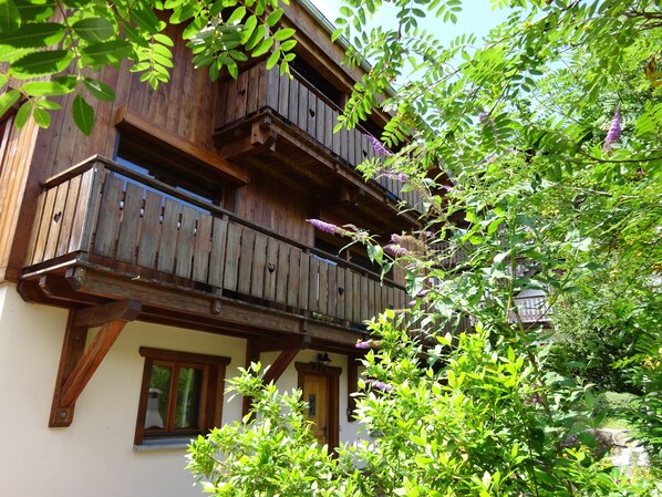 Front of the house
