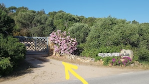 Terrain de l’hébergement 