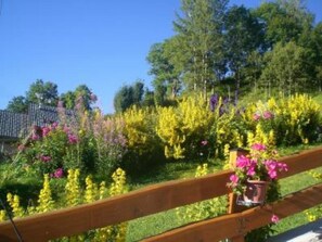 Jardin, Parc
