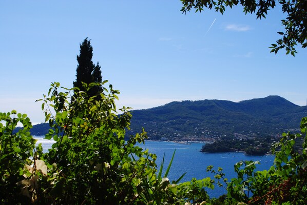 Photo non classée, 1 sur 24, bouton