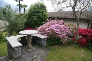 Picture 2