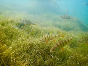 Picture 20