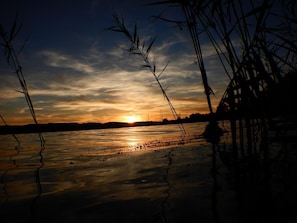 Picture 19
