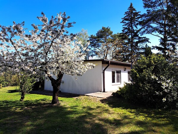 Boendeområde