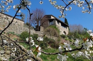 MAS SAINT ESPRIT in spring: Main House with Veranda
