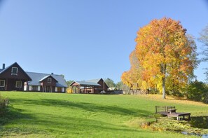 Direkte Umgebung des Objekts. "Dzukijos uoga"- Ferienhaus in Litauen