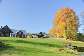 Area that directly surrounds the property. Dzukijos uoga holiday home in Lithuania