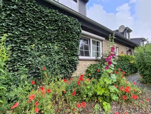 Sommerblumen an der Ferienwohnung
