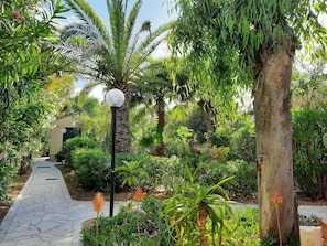 Area that directly surrounds the property