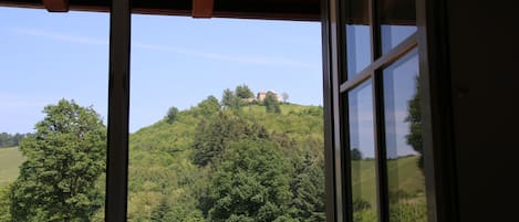 Ausblick Richtung Schloss Staufenberg Durbach