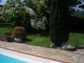 Garden near the pool