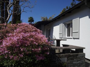 Picture 2