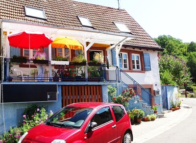 Ferienhaus Pfalzhaus, im Trifelsland, nahe der Weinstraße