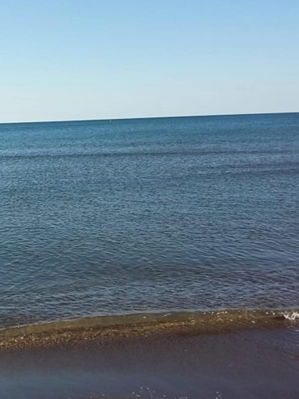 Ranta