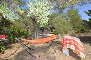 hammock under the olive tree and view