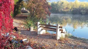Lake view